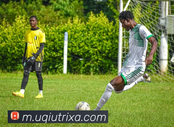 多媒体互动体验